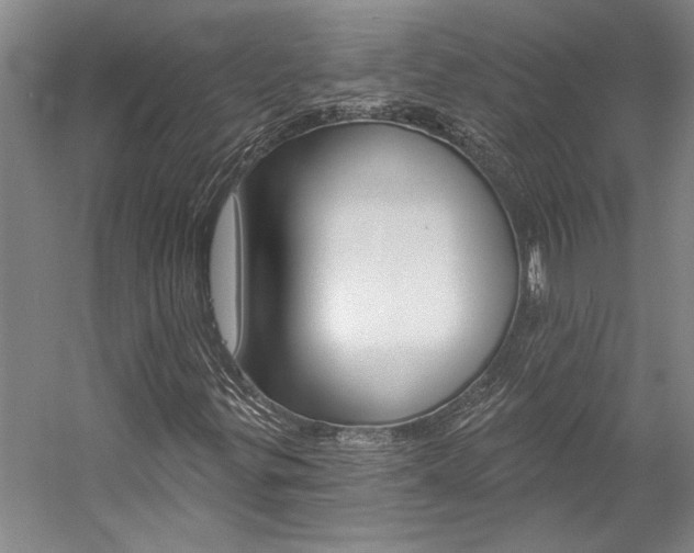 X0000057091299200509090928
