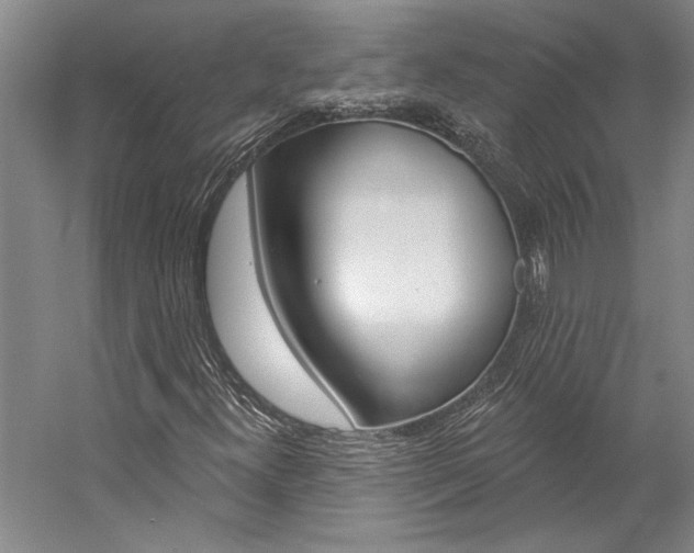 X0000057091300200509090928