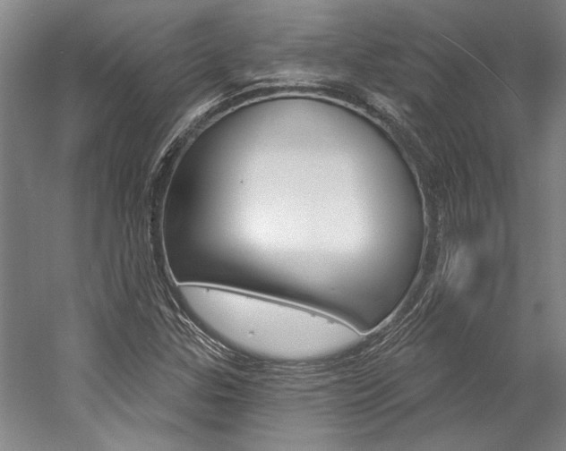 X0000057091307200509090928