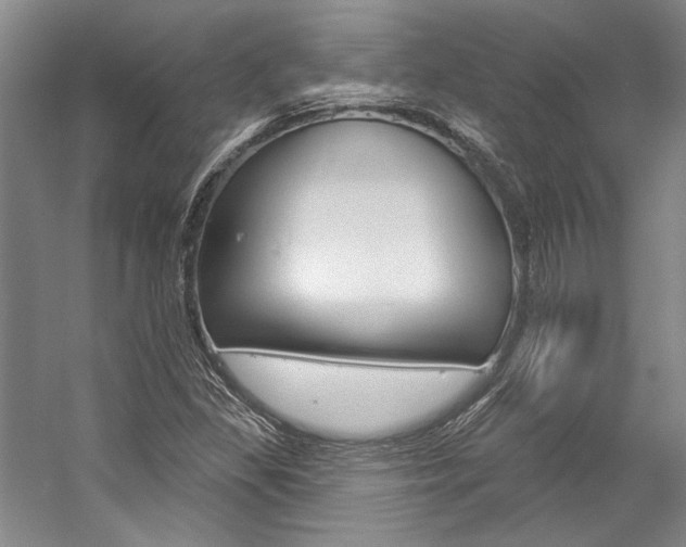 X0000057091309200509090928