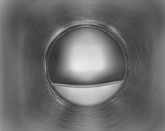 X0000057091320200509090928