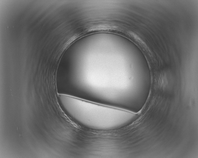 X0000057091329200509090929