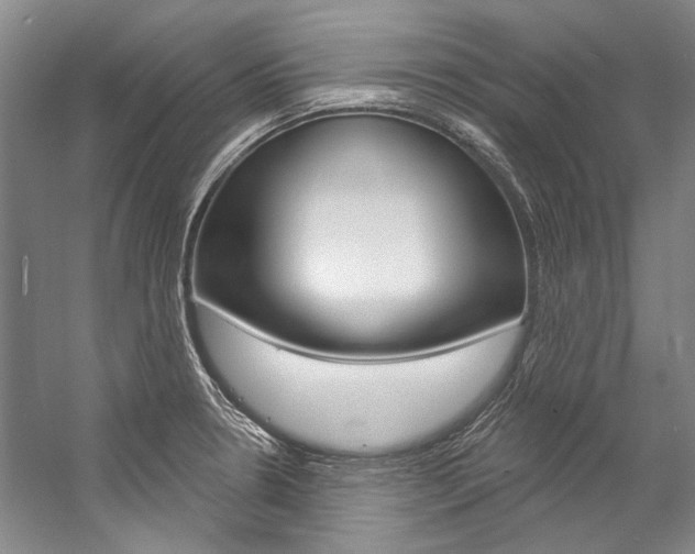 X0000057091330200509090929