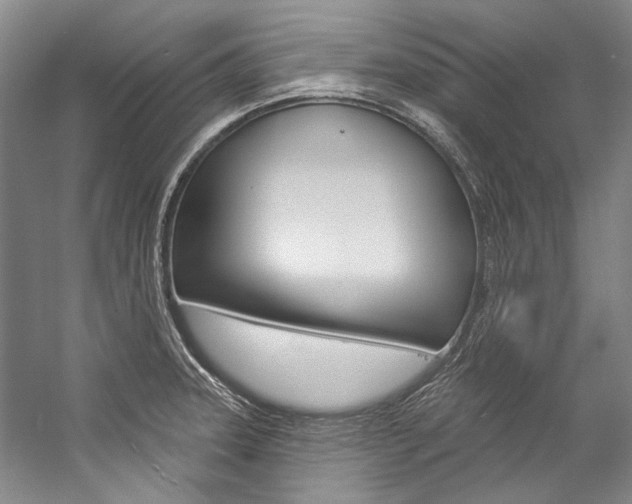 X0000057091331200509090929