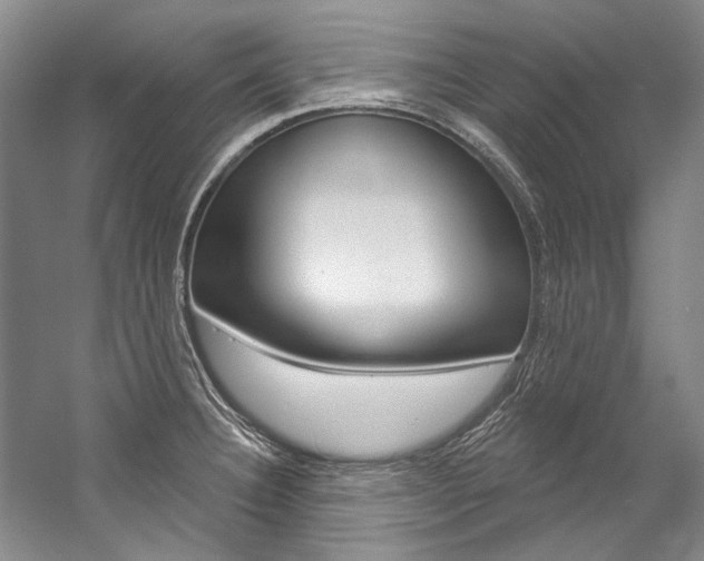 X0000057091332200509090929