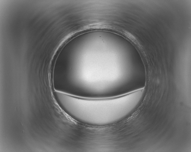 X0000057091334200509090929