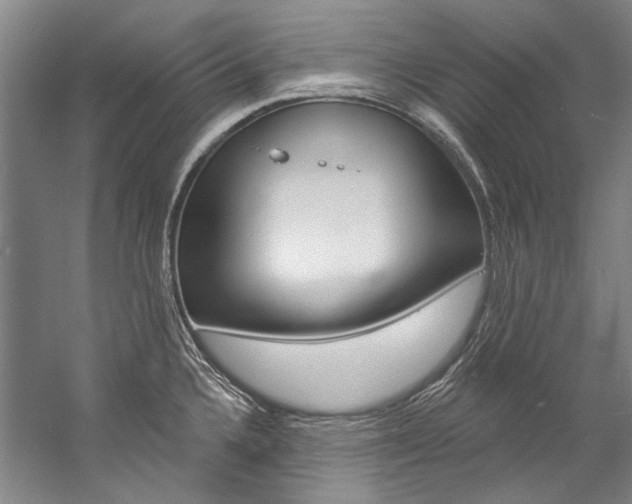 X0000057091336200509090929