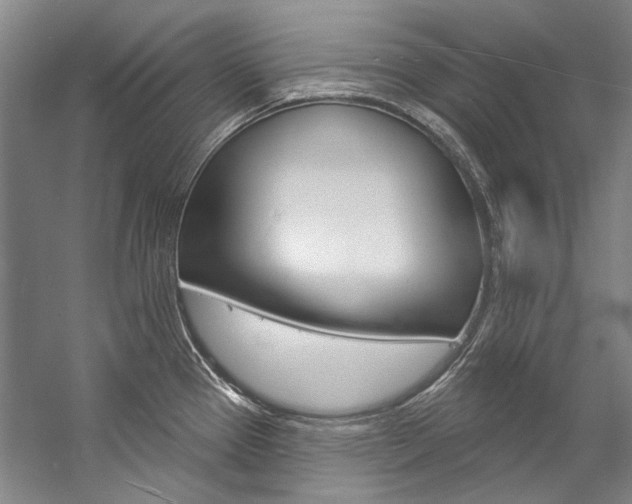 X0000057091337200509090929