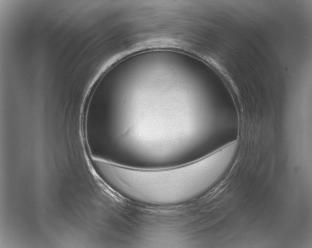 X0000057091342200509090929