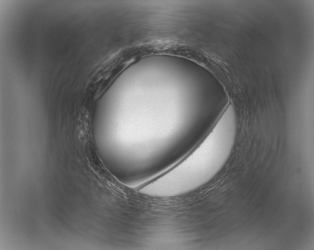 X0000057091349200509090928