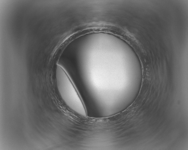 X0000057091352200509090928