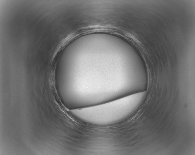 X0000057091357200509090928