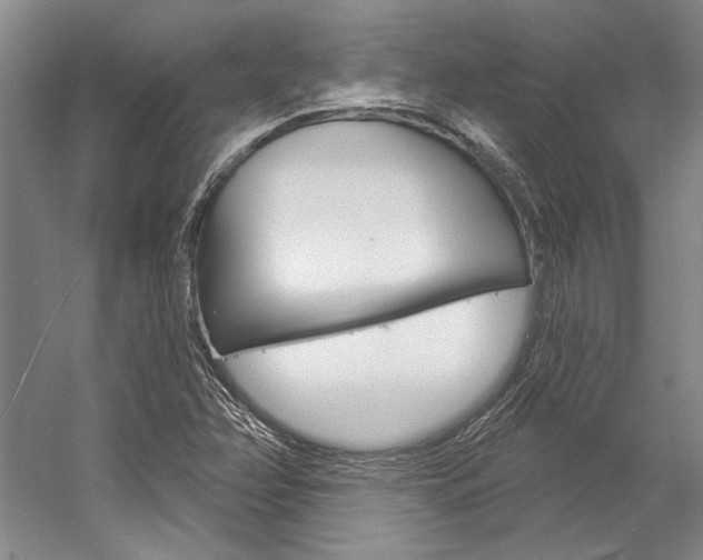 X0000057091358200509090928