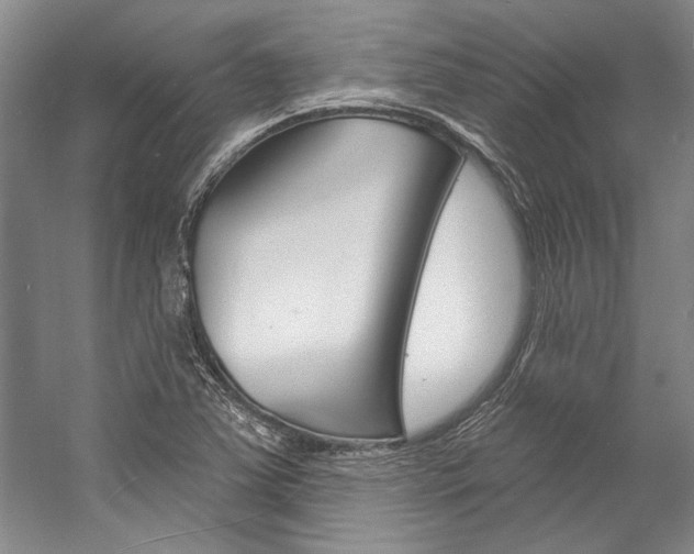 X0000057091363200509090928
