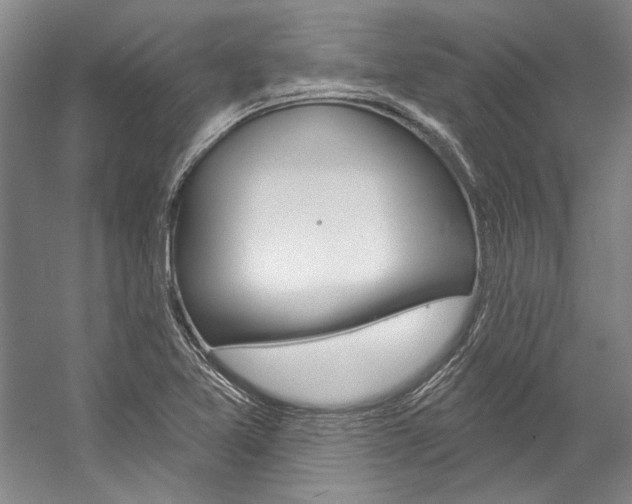 X0000057091365200509090928