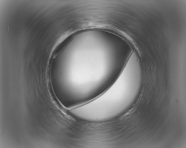 X0000057091373200509090927
