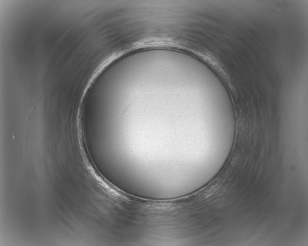 X0000057091382200509090927