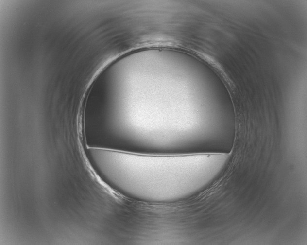 X0000057091383200509090927