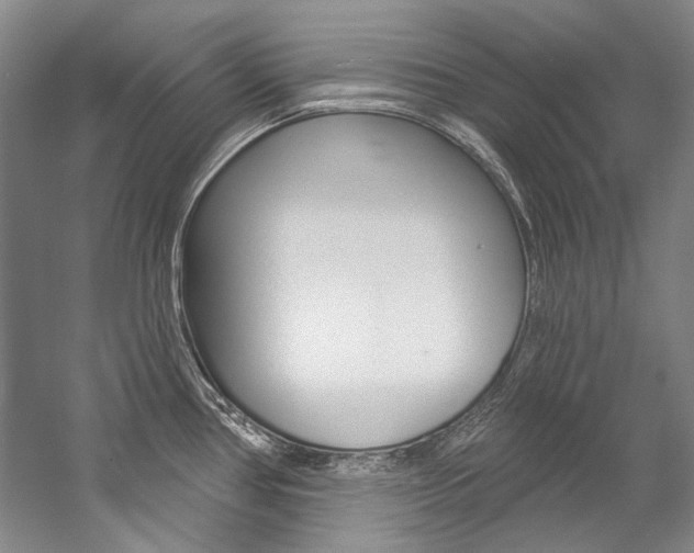 X0000057091386200509090927