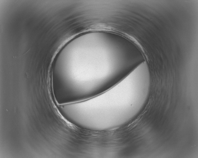 X0000057091387200509090927