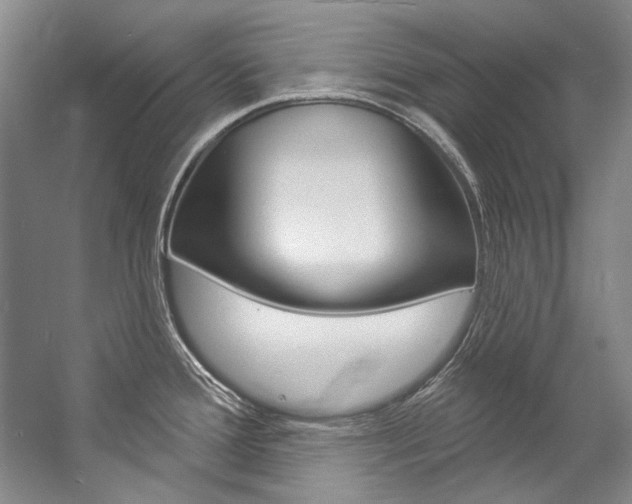 X0000057091388200509090927