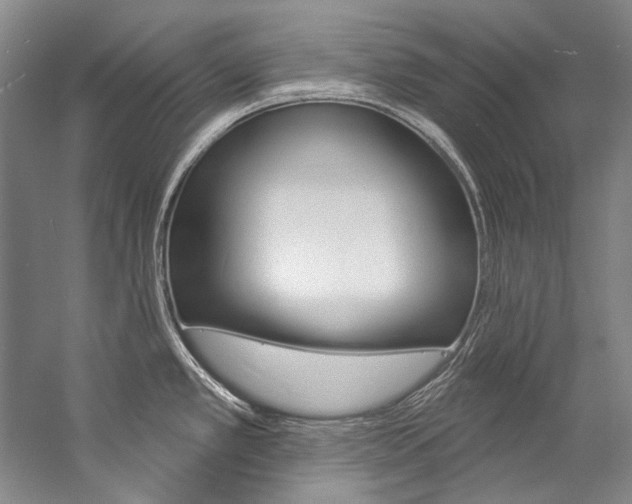 X0000057091389200509090927