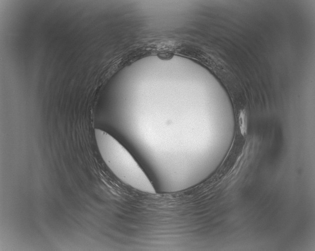 X0000057091395200509090926