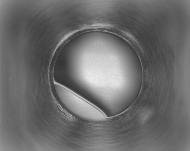X0000057091412200509090927