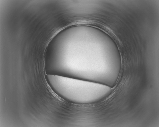 X0000057091417200509090927