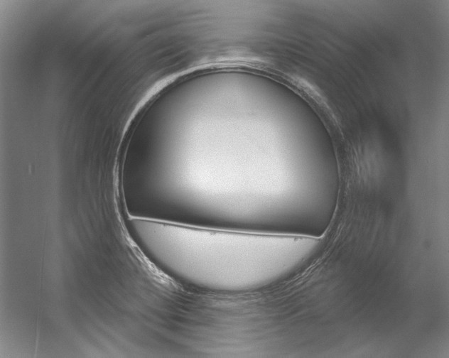 X0000057091420200509090927