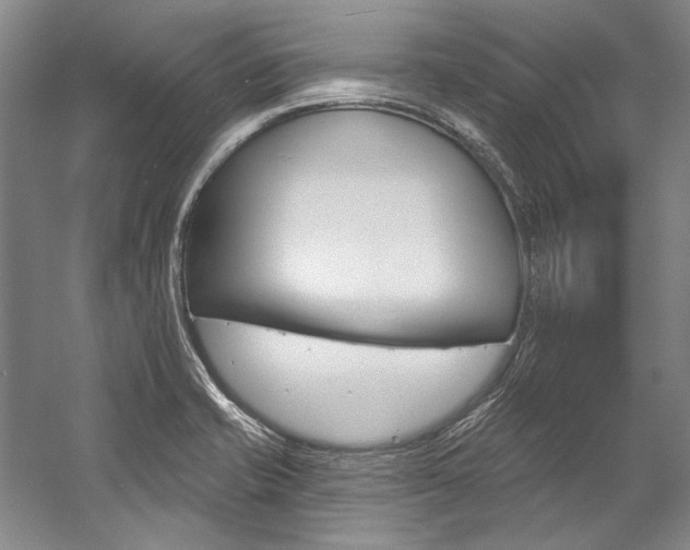 X0000057091421200509090927