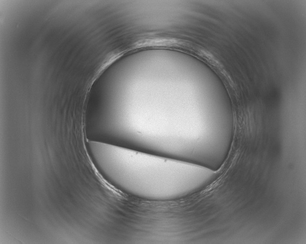 X0000057091425200509090927