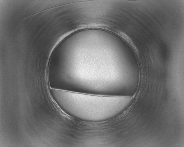 X0000057091436200509090927