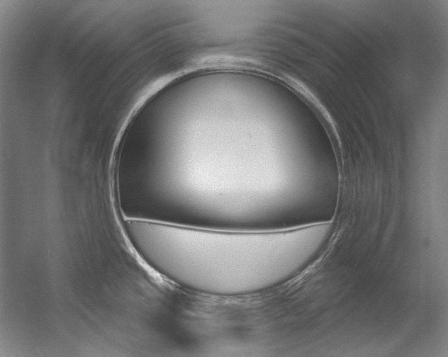 X0000057091437200509090927