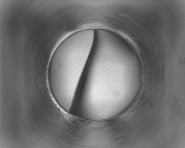 X0000057091440200509090927