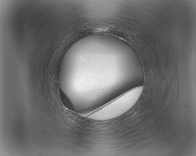 X0000057091441200509090926