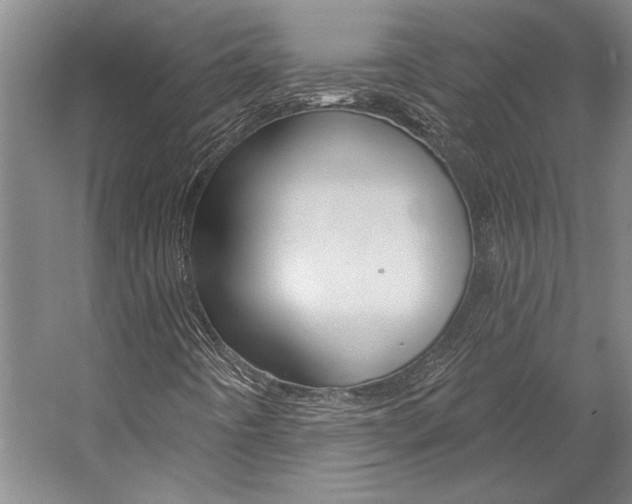 X0000057091442200509090926