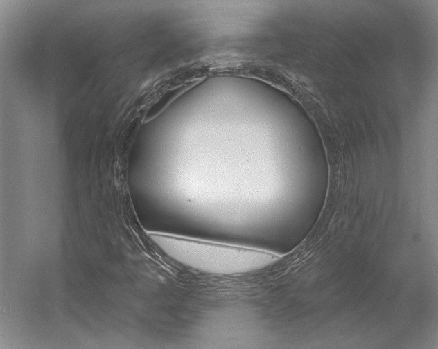 X0000057091445200509090926