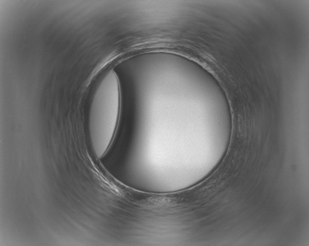 X0000057091450200509090926