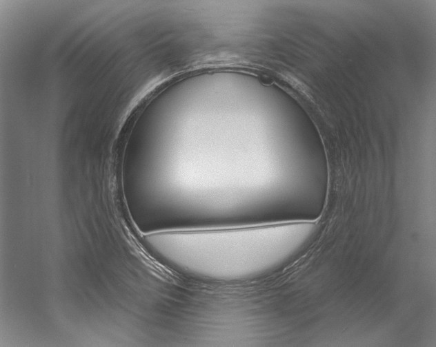 X0000057091458200509090926