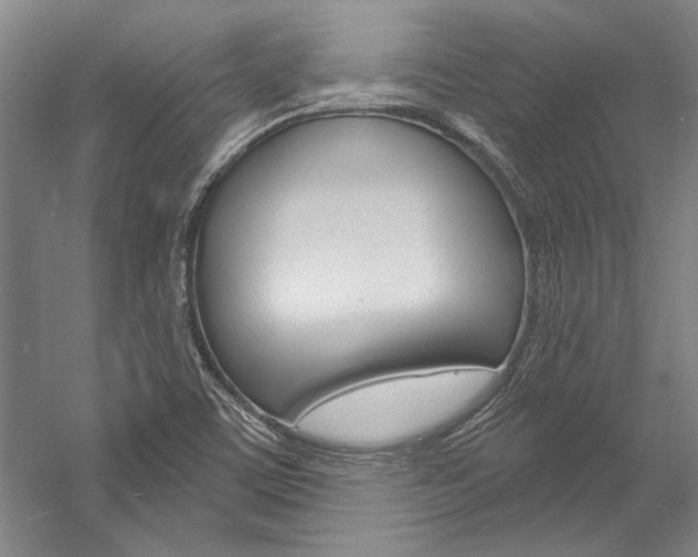 X0000057091459200509090926