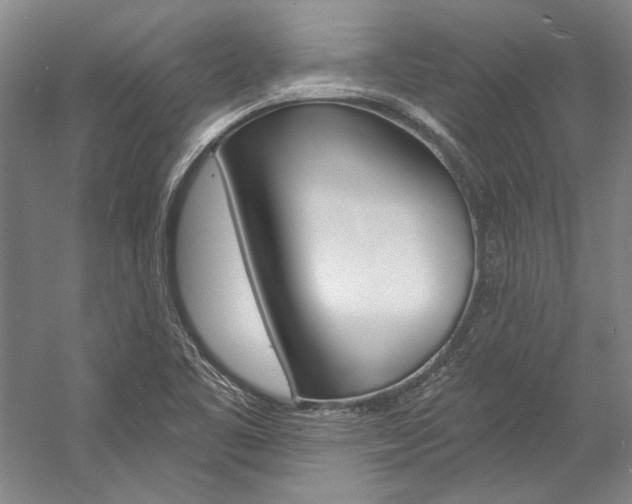 X0000057091461200509090926