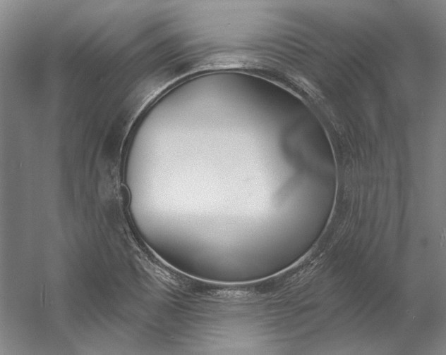 X0000057091465200509090926