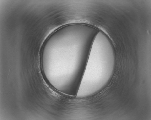 X0000057091468200509090926