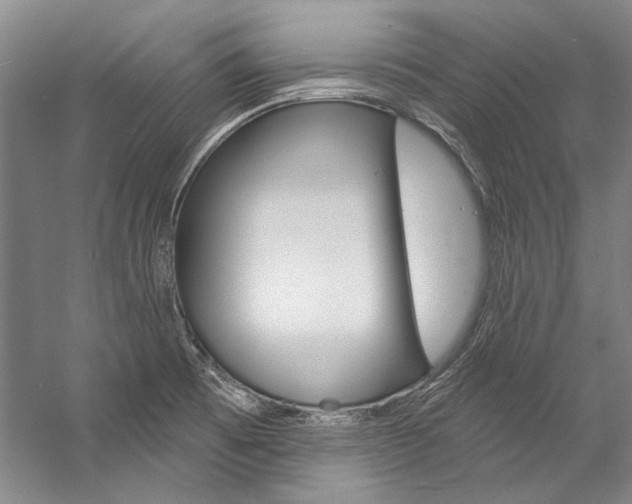 X0000057091473200509090926