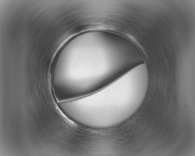 X0000057091476200509090926