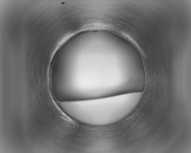 X0000057091477200509090926