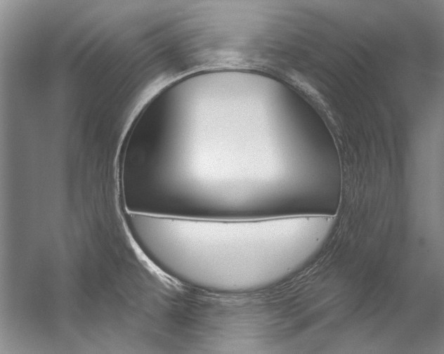 X0000057091479200509090926
