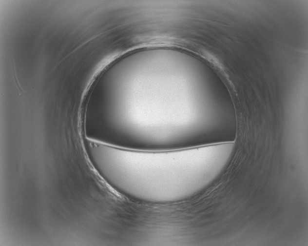 X0000057091480200509090926