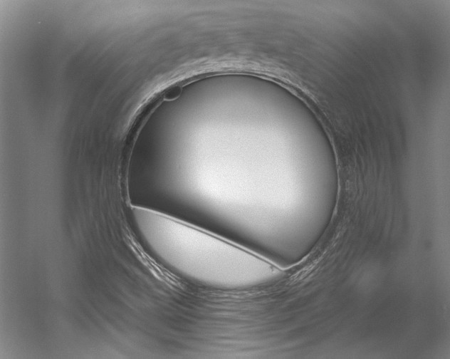 X0000057091499200509090925